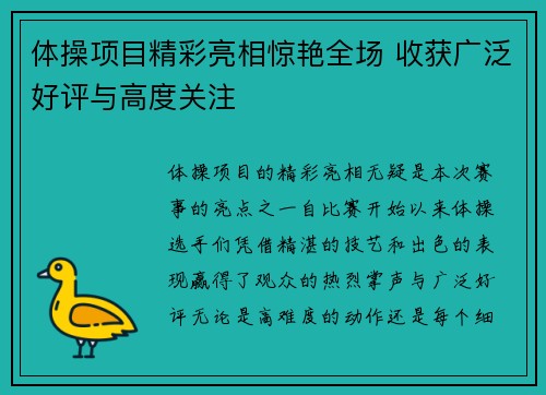 体操项目精彩亮相惊艳全场 收获广泛好评与高度关注