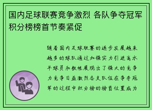 国内足球联赛竞争激烈 各队争夺冠军积分榜榜首节奏紧促