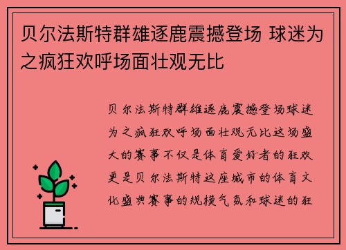 贝尔法斯特群雄逐鹿震撼登场 球迷为之疯狂欢呼场面壮观无比